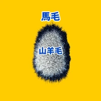画像1048