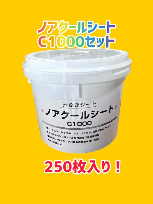 画像1279