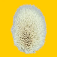 画像1558