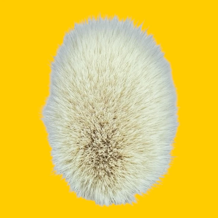 画像1558