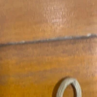 画像1565