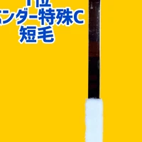 画像1951