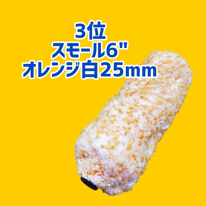 画像2447