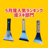 画像2471