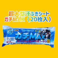 画像2494