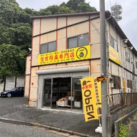 画像251