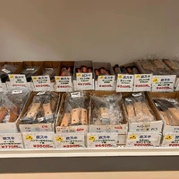 画像257