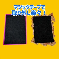 画像2582