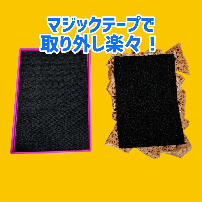 画像2582