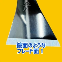 画像2731
