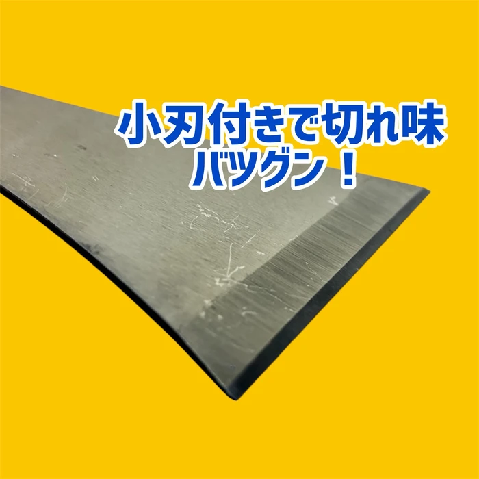 画像2733