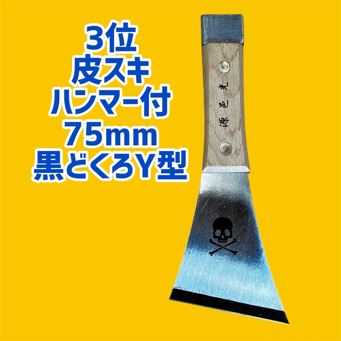 画像2734