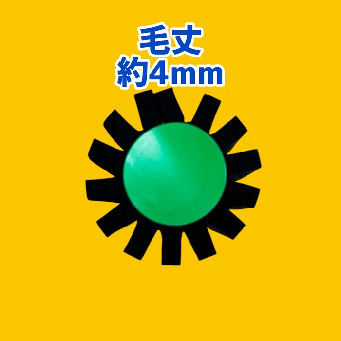 画像2798