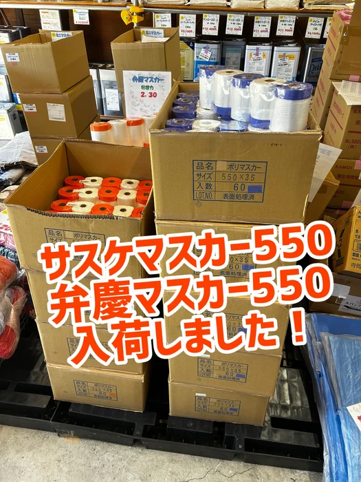 画像2854