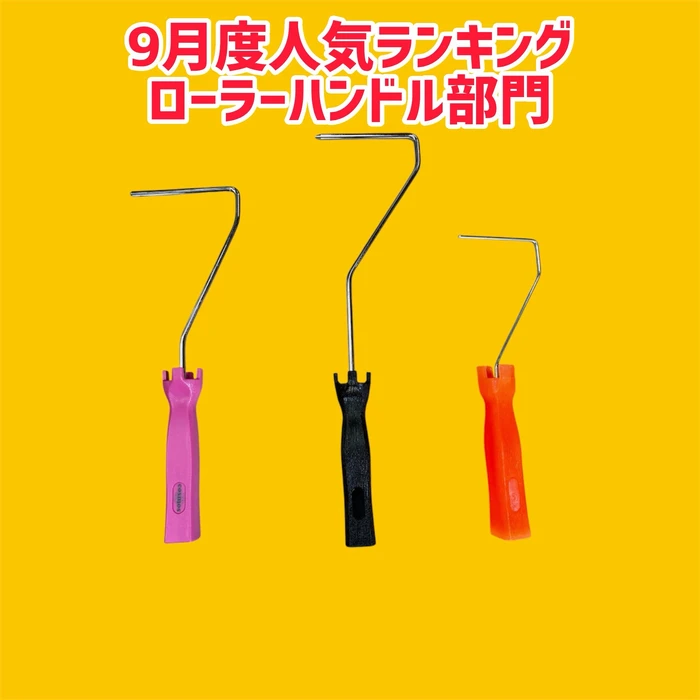 画像2948
