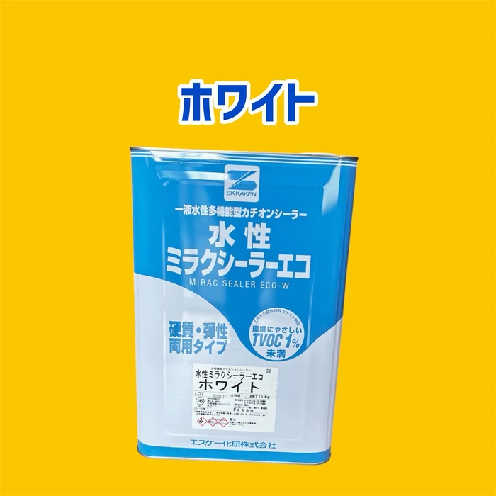 画像2978