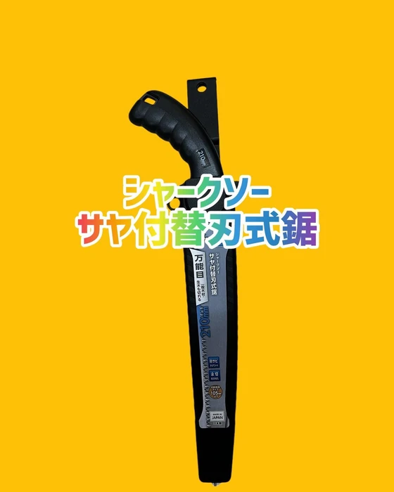 画像484